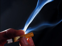 Suçlu yavaşlayan genler