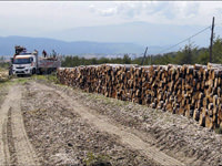 Bu katliamı durdurun