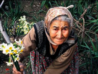 Nazilli hayatın sırrını verecek