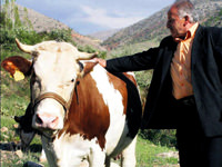 'Gülsüm' sürgünde