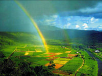 Renklerin hayat tarzımıza etkisi