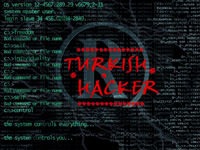 Türk hackerlar Amerikan ordusunun sitesine sızdı!