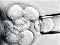 Çinliler'den müthiş buluş