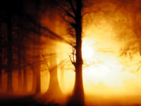 Melike Sultan'ın tahtı