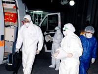 Domuz gribi tırmanışa geçti