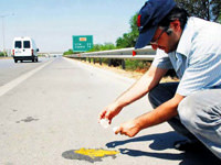 Asfaltta yumurta pişti