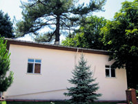 40 yıllık ağaç moral veriyor