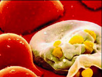 Yeni bir kabus daha başladı