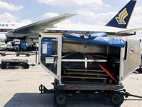 Tekin'in cenazesi Türkiye'ye getirildi