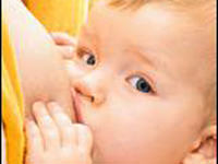 Keçi sütü anne sütü gibi yararlı