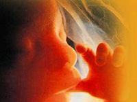 Tıpta yeni bir devrim