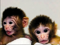 Kalıtsal hastalık tarih mi olacak?