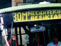 Her yerde yağmur var