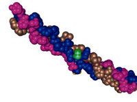 Kanserde çığır  açan gelişme