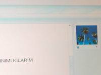 MSN'de sorun yaşayanlar dikkat!