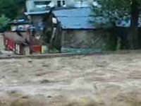 Artvin'den dehşet kareler!