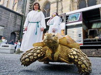 Hayvanlar da  kutsandı