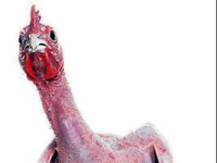 Sağlık için beyaz et ye-me