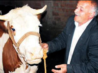 Alem 'Gülsüm'e kurban