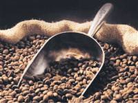 Kahvenin bu faydasını biliyor muydunuz?