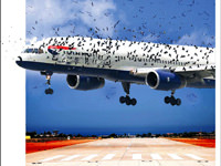 Avcı palavra sıktı havaalanı rötar yaptı