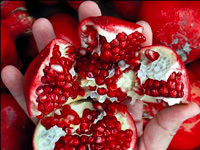 İran narındaki virüs yerli üreticiye yaradı