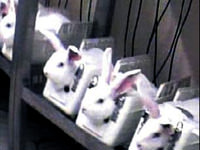 Cehennem laboratuvarı!