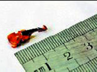 1 santimetrelik keman