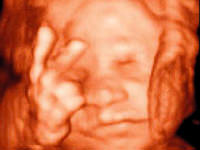 Anne karnından mesaj