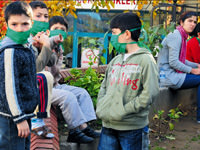 Türkiye'nin virüsle imtihanı