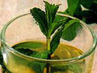 Ağrının ilacı nane çayı