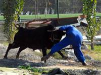 Memleketimden bayram manzaraları