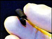 ABD'de kağıttan pil yaptılar