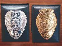 Adana'da domuz gribinden 1 polis öldü