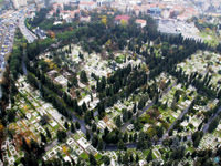 Mezar'city
