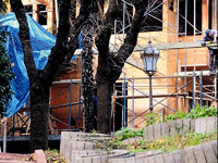 Florya ormanı tartışması tam gaz devam