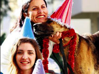 Kedi-köpek partisi...