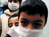 Domuz gribinde vaka sayısı azaldı