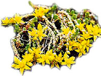 Bu kürler imdadınıza yetişiyor!