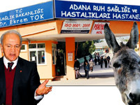 At eti, eşek eti yiyen üniversiteli