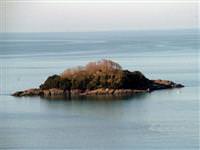 Giresun Adası'nda hareket!