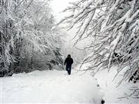 Ulaşıma kar engel oldu