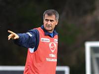 Şenol Güneş güven tazeledi