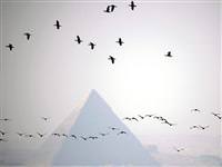 Piramitleri kim yaptı?