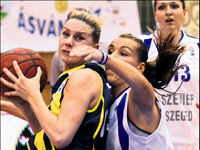 Dişi Kanarya fırtına gibi