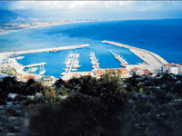Sivrisinek ihalesi