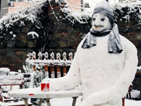 Aristokrat kardan adam