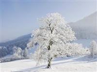 Marmara kara teslim-HARİTALI