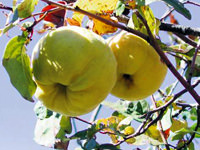 Ardımızda bıraktıklarımız