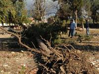 Antalya’da hortum kötü anlar yaşattı